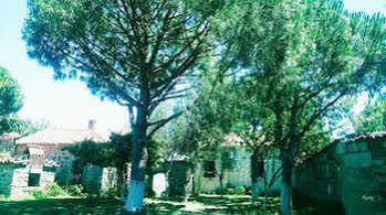Athena Otel 3*